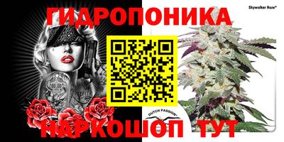молекула духа Пенза