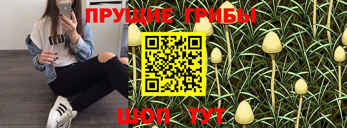 Галлюциногенные грибы GOLDEN TEACHER  Галлюциногенные грибы мицелий  Бирск  Вход с VPN 